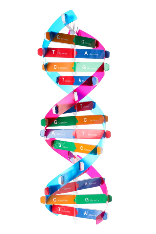 Preview: Colorful DNA structure model on white background