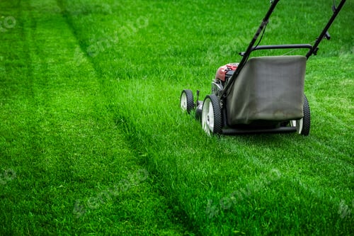 Preview: Mowing lawn