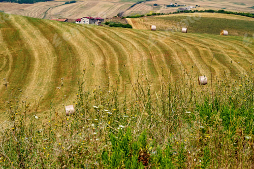 Preview: Country landscape near Melfi, Basilicata, Italy