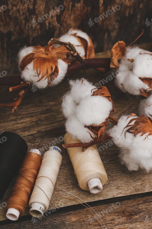 Preview: Cotton flower