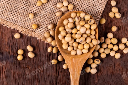 Preview: Soybean oil on a wooden background. rustic style
