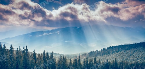Preview: Amazing evening winter landscape