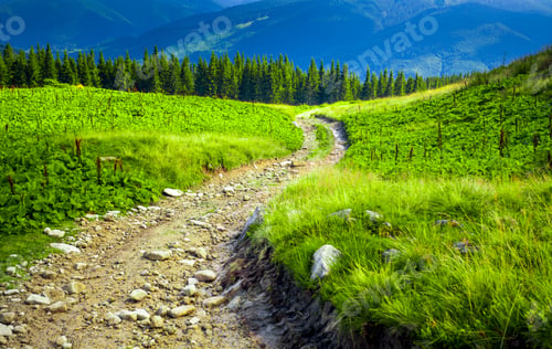 Preview: Carpatian summer landscape.
