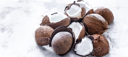 Preview: Coconuts tropical fruit on a light background