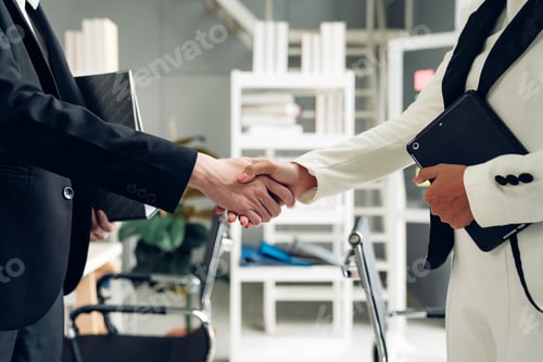 Preview: Group of professional business people are working and shaking hands.