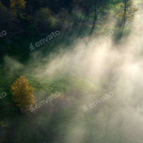 Preview: Mist tracer.