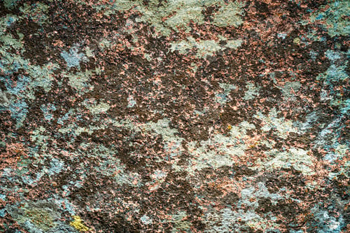 Preview: Multi-colored mold texture on the stones