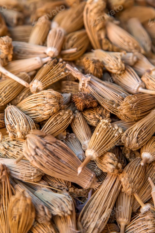 Preview: Berber toothpicks