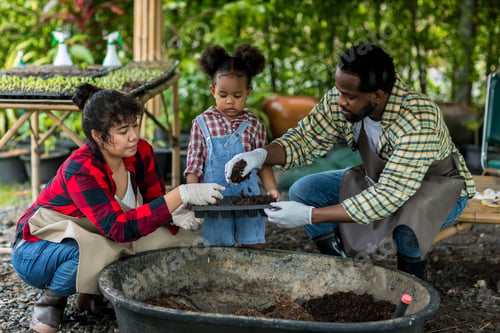 Preview: African American Family in the vegetable garden at countryside.