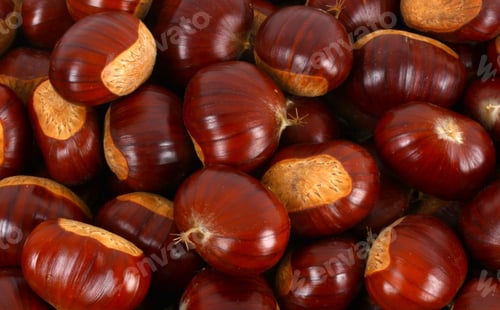 Preview: Chestnuts