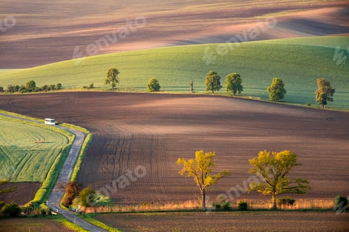Preview: Gorgeous rural landscape with green sunny spring hills. South Moravia region, Czech Republic