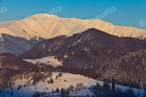 Preview: winter landscape