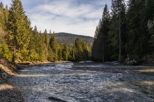Preview: Scenic landscape of mountain river and forest with cloudy sky at background