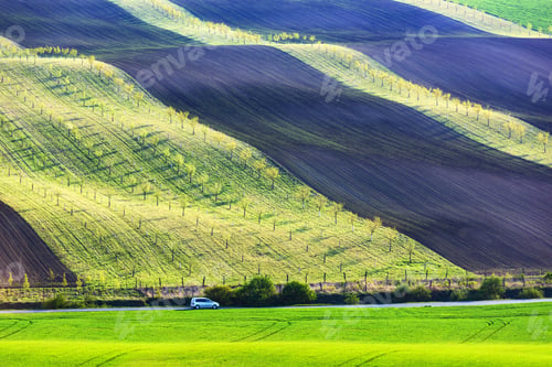 Preview: Moravian agricultural fields