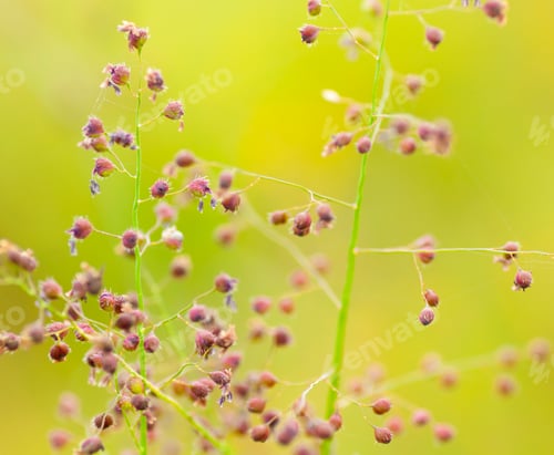 Preview: Beautiful floral spring abstract background of nature