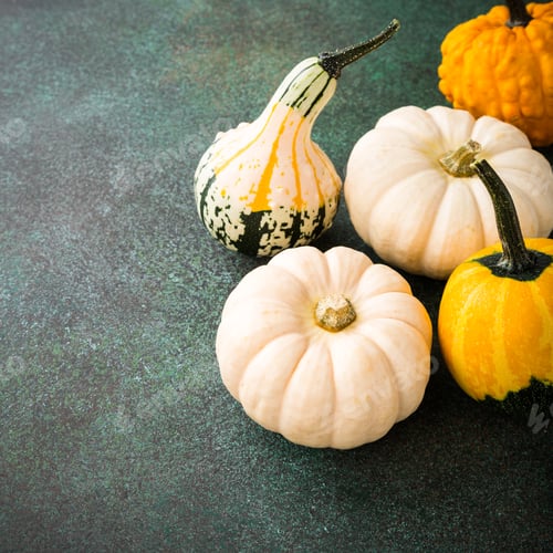 Preview: Diverse assortment of pumpkins