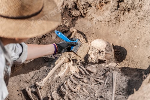 Preview: Archaeological Excavations - Ancient Human Skeleton