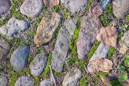 Preview: texture of a boulder with moss