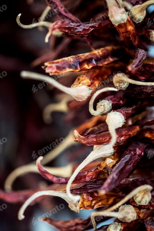 Preview: Close up of small bunch of dried red chilies.