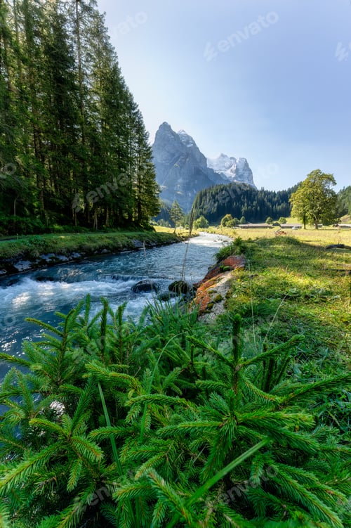 Preview: Rusenlaui with wellhorn swiss alps and Reichenbach river flowing in summer on sunny day