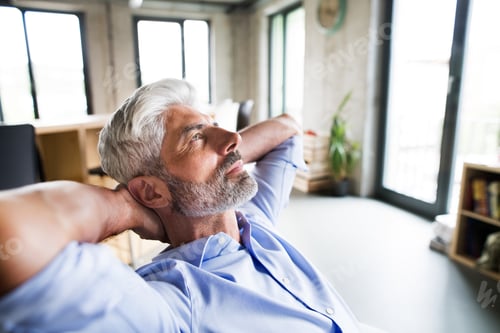 Preview: Thoughtful mature businessman in the office.