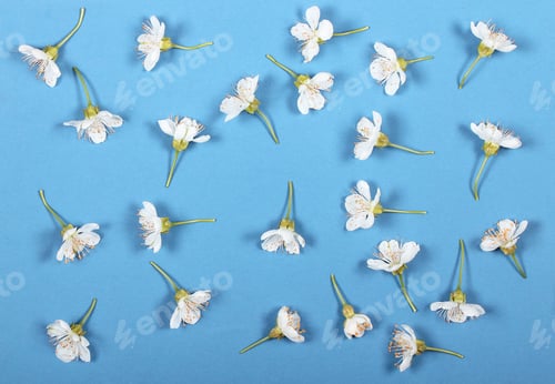 Preview: Spring Flowers Lie On A Bright Background