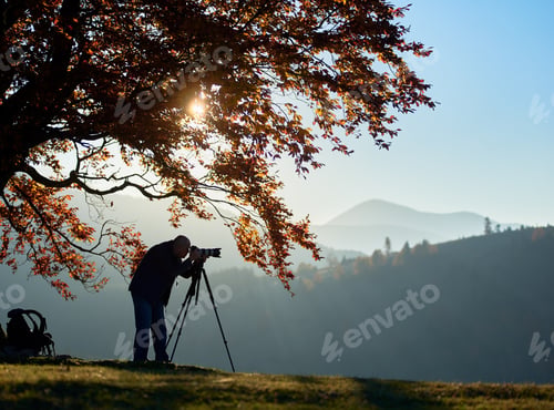 Preview: Hiker tourist man with camera on grassy valley on background of mountain landscape under big tree.