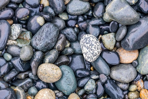 Preview: Smooth Pebbles on Rocky Beach of Vancouver Island Coast