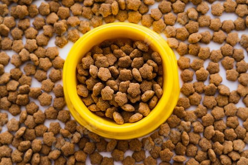 Preview: top view of dry pet food in plastic yellow bowl
