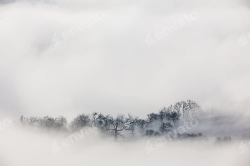 Preview: dense fog and a rural landscape. Transylvania, Romania.