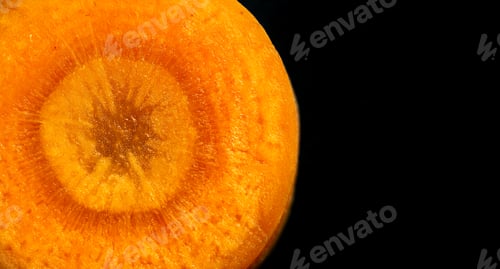 Preview: Carrot slice isolated on black background closup details