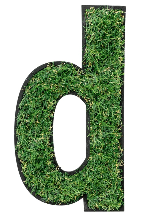 Preview: Letter D made of green grass isolated on white.