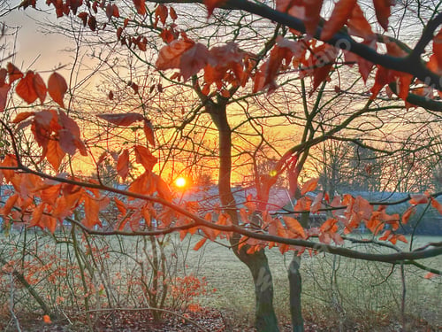 Preview: Sunrise in Hamburg