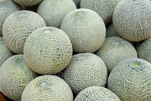 Preview: Closeup of cantaloupe melon