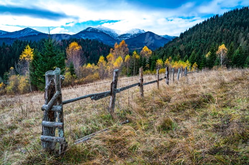 Preview: Bewitching beautiful summer landscape of green meadows
