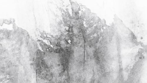 Preview: Monochrome Abstract Texture Background with Soft Shades