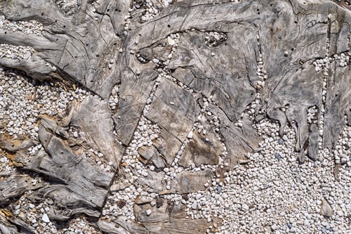 Preview: Texture Of A Cross-Section Of An Old Tree With Small Crushed Stone In Cracks For An Abstract