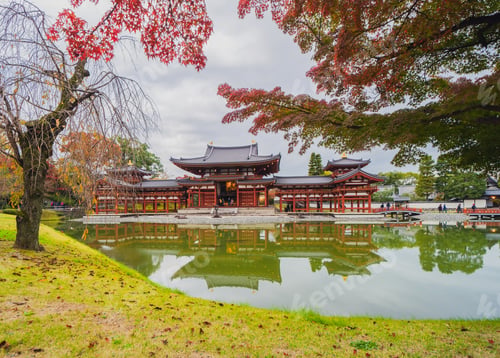 Preview: Red maple leaves or fall foliage in colorful autumn season, Yamanashi. Five lakes. Trees in Japan