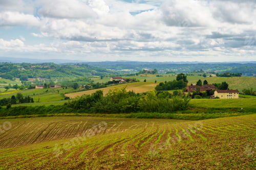 Preview: Vineyards of Monferrato near Calliano at springtime