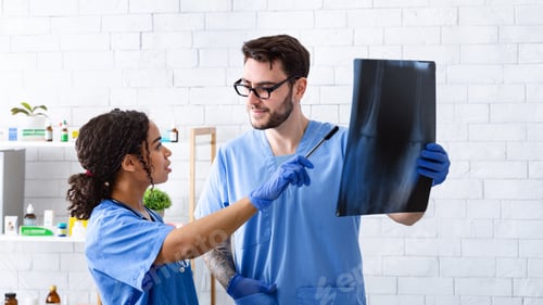 Preview: Veterinary radiology. Vet doc with assistant studying animal xray in clinic