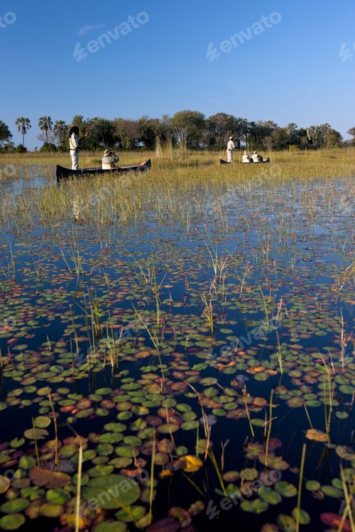 Preview: Okavango Delta in Botswana