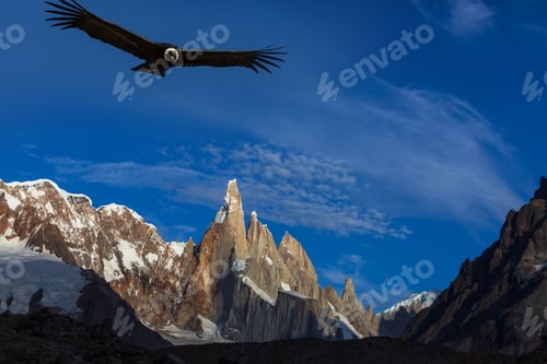 Preview: Condor