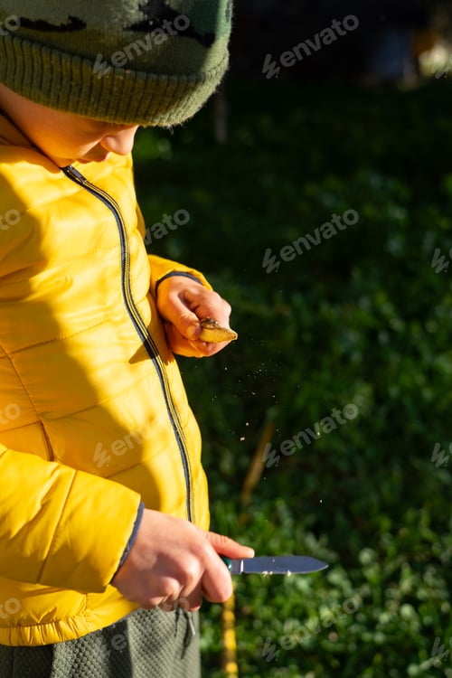 Preview: Boy sharpening a stick with a knife in nature