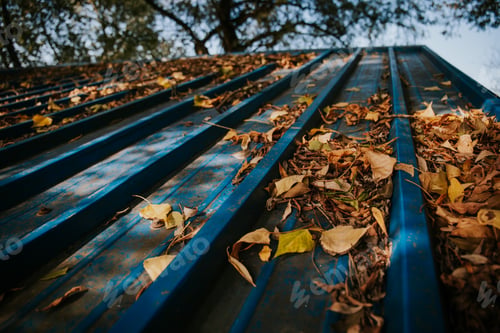 Preview: Closeup of autumnal leaves on the surface of a roof