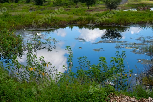 Preview: Beautiful landscape view in sunny day.