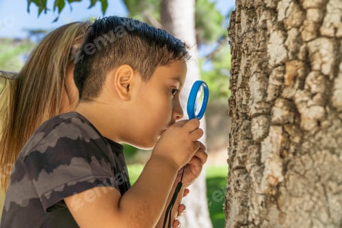 Preview: latin boy looking a tree trunk with a magnifying glass