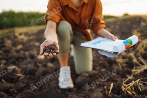 Preview: Expert hand of farmer woman checking soil health before growth seed of vegetable. Gardening concept.