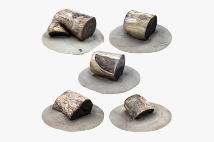Preview: Weathered Wood Stumps on Sand