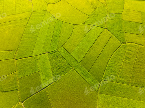 Preview: Aerial drone top view of Bac Son rice field valley at sunset, Lang Son, Vietnam