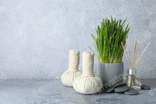Preview: Spa composition with wheatgrass on grey table. Space for text